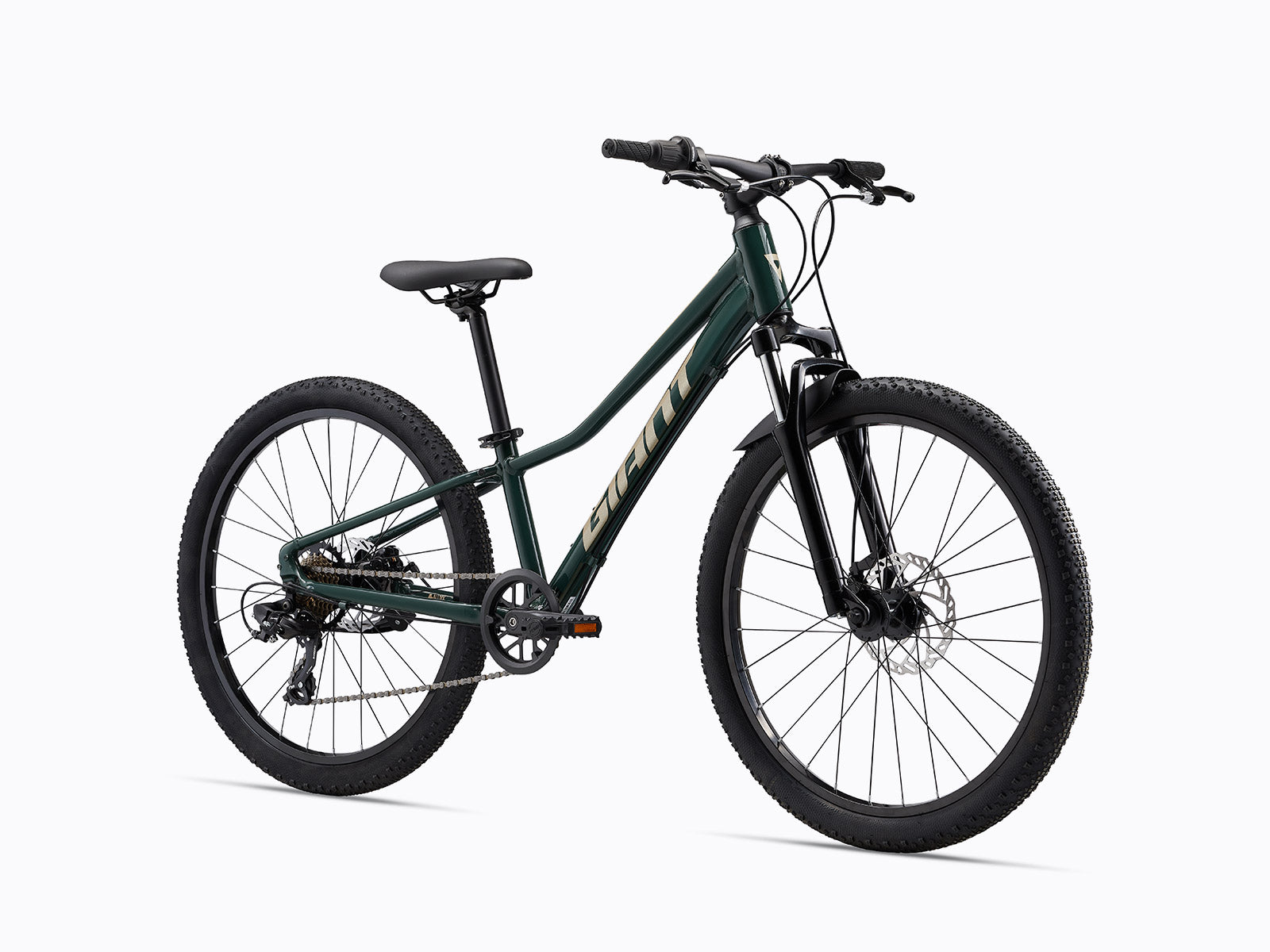 Giant Talon 24 Disc