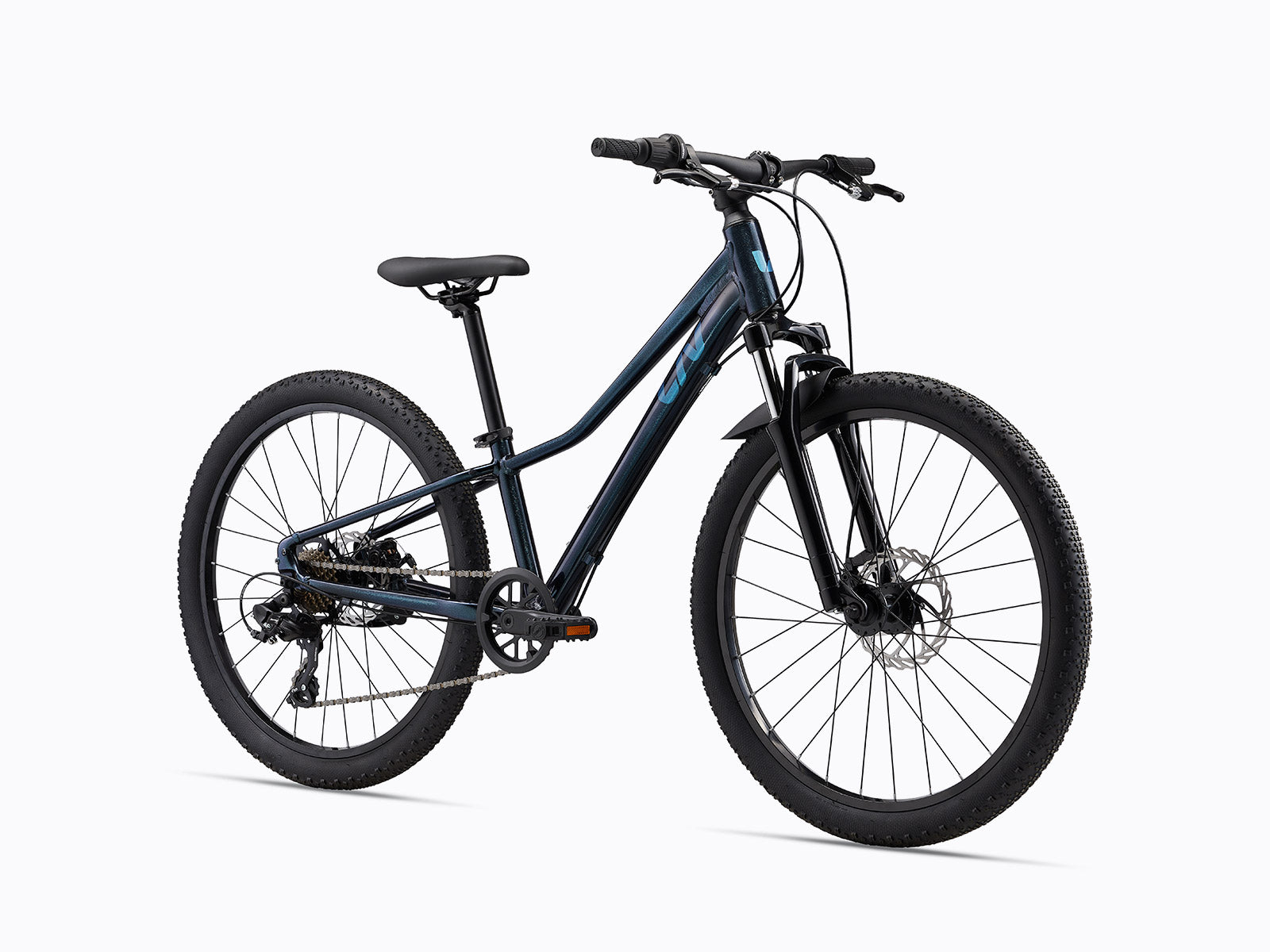 Liv Tempt 24 Disc Starry Night